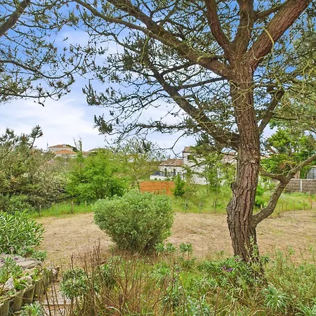 150m De La - Maison Vendeenne Pour 6 *