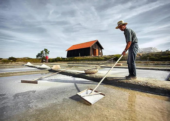 150m De La - Maison Vendéenne Pour 6 Hébergement de vacances *